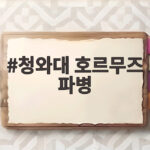 청와대 호르무즈 파병 검토와 파병 전력 국회 동의 절차 총정리 청와대 호르무즈 파병