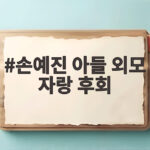 손예진 아들 외모 자랑 후회 SNS에 올린 글과 냉장고를 부탁해 화제 손예진 아들 외모 자랑 후회