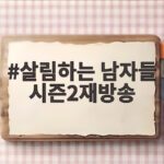 살림하는 남자들 시즌2 재방송, 방송사고 해프닝과 다시보기 정보 살림하는 남자들 시즌2재방송