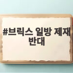 브릭스 일방 제재 반대 선언 미국 중동 정책 어떻게 달라질까 브릭스 일방 제재 반대
