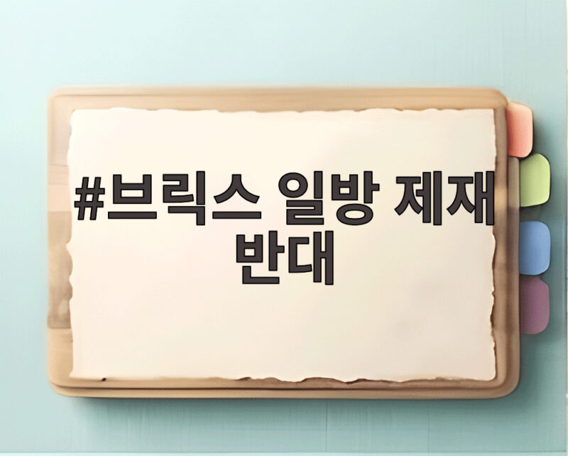 브릭스 일방 제재 반대