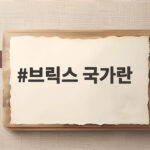 브릭스 국가란 무엇이며 뉴델리 선언에서 어떤 역할을 했을까 브릭스 국가란