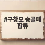 구창모 송골매 합류 비하인드 배철수가 설악산까지 찾아온 사연 구창모 송골매 합류