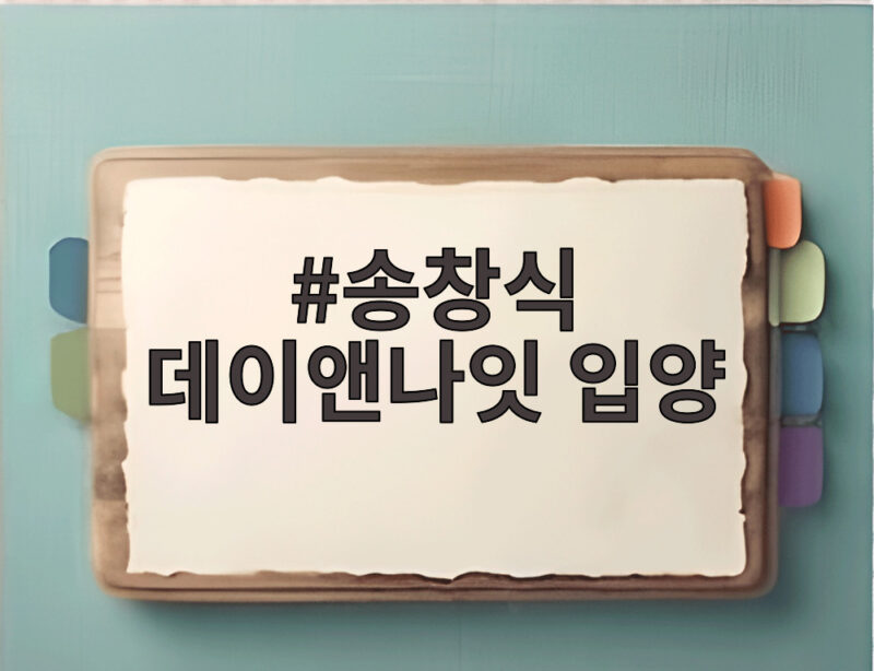 송창식 데이앤나잇 입양