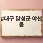 대구 달성군 야산 불 신속한 대응으로 40분 만에 진화 대구 달성군 야산 불
