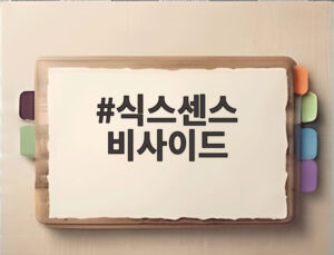 식스센스 비사이드