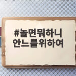 놀면뭐하니 안느를위하여