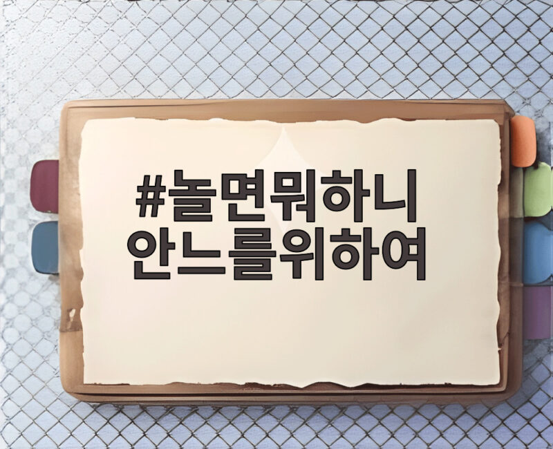 놀면뭐하니 안느를위하여