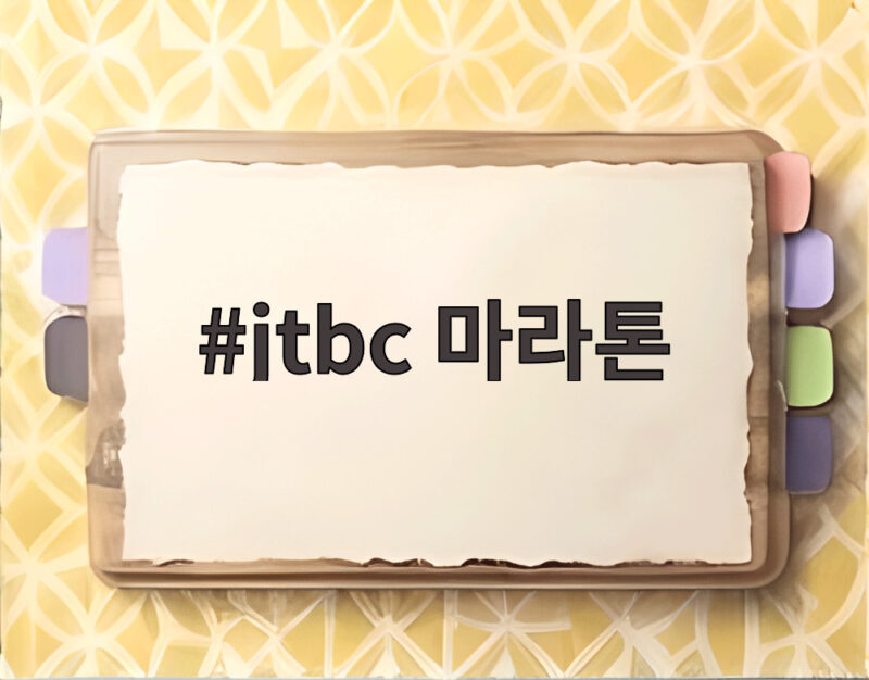 JTBC 마라톤 참가비 왜 이렇게 비쌀까 완주자들이 말하는 진짜 이야기 1 JTBC 마라톤 대회 현장에서 러너들이 달리고 있는 모습