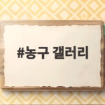 농구 갤러리에서 만나는 농구 문화의 새로운 즐거움 이야기 농구 갤러리