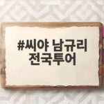 씨야 남규리 전국투어 눈물 가득한 20주년 콘서트 비하인드 보기 씨야 남규리 전국투어