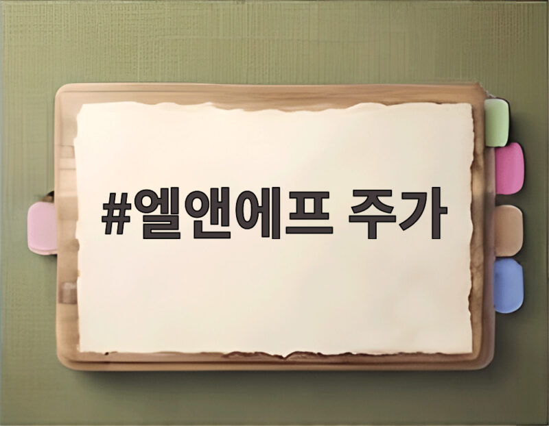 엘앤에프 주가