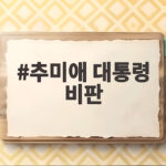 추미애 대통령 비판에 김민석 대표가 요구한 설명과 민주당 내부 논란 추미애 대통령 비판