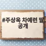 주상욱 차예련 딸 공개 9살 딸 남자친구 반대에 이민 생각 주상욱 차예련 딸 공개