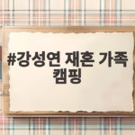 강성연 재혼 가족 캠핑, 두 아들과 남편 장민욱이 함께한 행복한 시간 강성연 재혼 가족 캠핑