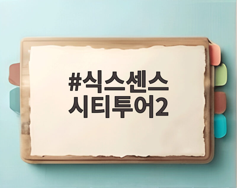 식스센스 시티투어2 이후 새 시즌 미미 하차와 비비 합류 반전 1 식스센스 시티투어2