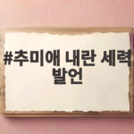 추미애 내란 세력 발언