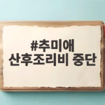 추미애 산후조리비 중단 논란 재정난 속 난임 지원 선택 이유 추미애 산후조리비 중단