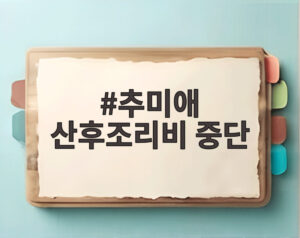 추미애 산후조리비 중단