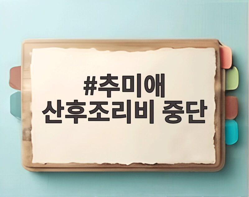 추미애 산후조리비 중단 논란 재정난 속 난임 지원 선택 이유 1 추미애 산후조리비 중단