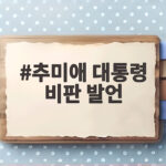추미애 대통령 비판 발언 여권 내부 갈등 어디까지 번지나 추미애 대통령 비판 발언
