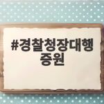 경찰청장대행 증원 검토 소식 수사 인력 부담 줄어들까 궁금해 경찰청장대행 증원