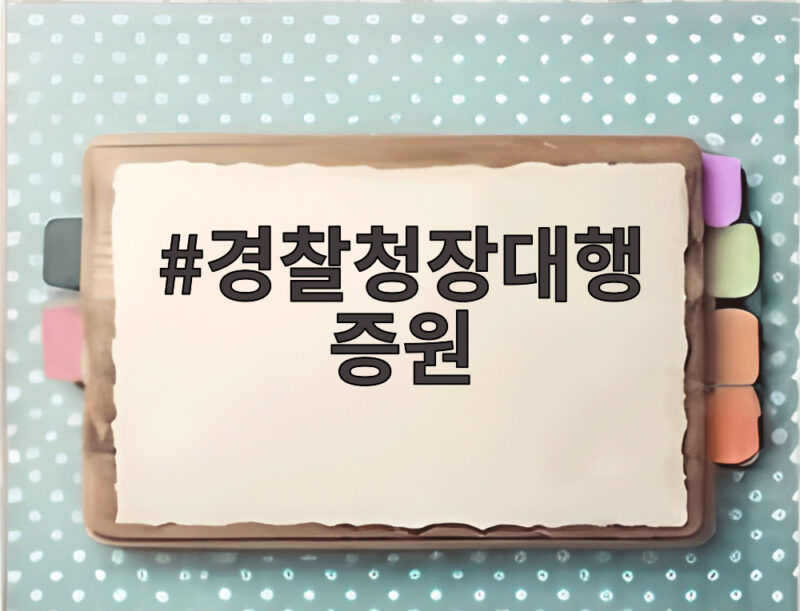 경찰청장대행 증원 검토 소식 수사 인력 부담 줄어들까 궁금해 1 경찰청장대행 증원
