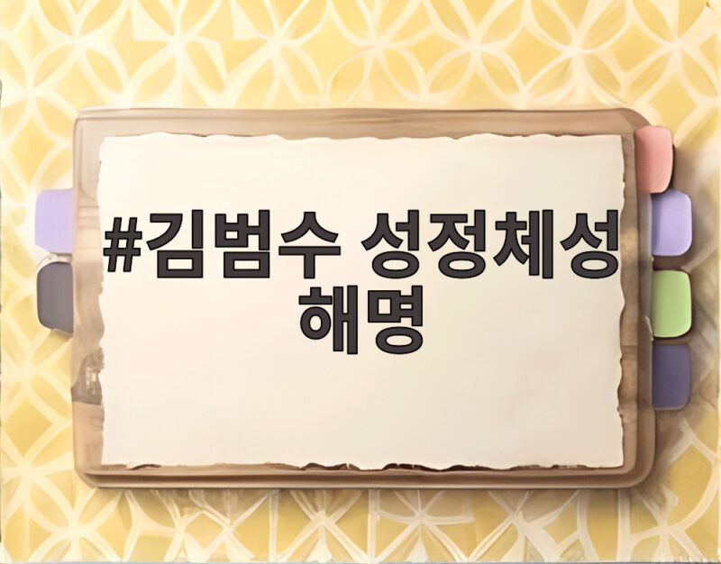 김범수 성정체성 해명