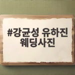 강균성 유하진 웨딩사진
