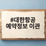 대한항공 예약정보 이관 통합 항공사 출범 전 알아야 할 변경 내용 대한항공 예약정보 이관