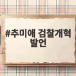 추미애 검찰개혁 발언, 이재명 대통령 겨냥한 파장 여권 내홍까지 추미애 검찰개혁 발언