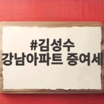 김성수 강남아파트 증여세 논란 처남 찬스 전전세 사실관계는 김성수 강남아파트 증여세