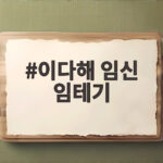 이다해 임신 임테기