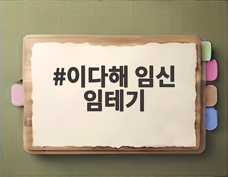 이다해 임신 임테기