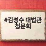 김성수 대법관 청문회 처남 찬스와 재제청 핵심 쟁점을 알아봤다 김성수 대법관 청문회
