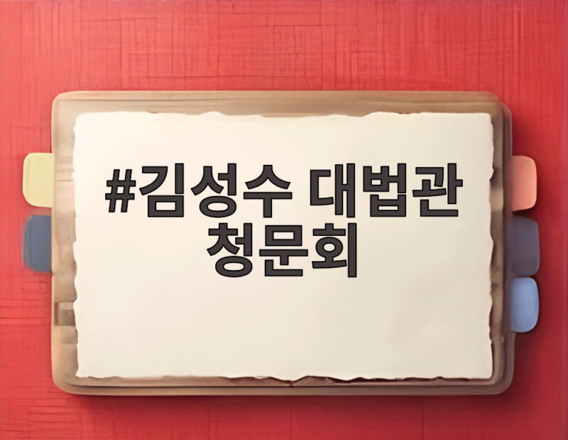 김성수 대법관 청문회 처남 찬스와 재제청 핵심 쟁점을 알아봤다 1 김성수 대법관 청문회
