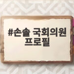 손솔 국회의원 프로필