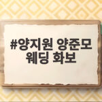 양지원 양준모 웨딩 화보 임신 겹경사 신혼의 설렘 공개 양지원 양준모 웨딩 화보