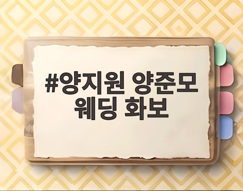 양지원 양준모 웨딩 화보 임신 겹경사 신혼의 설렘 공개 1 양지원 양준모 웨딩 화보