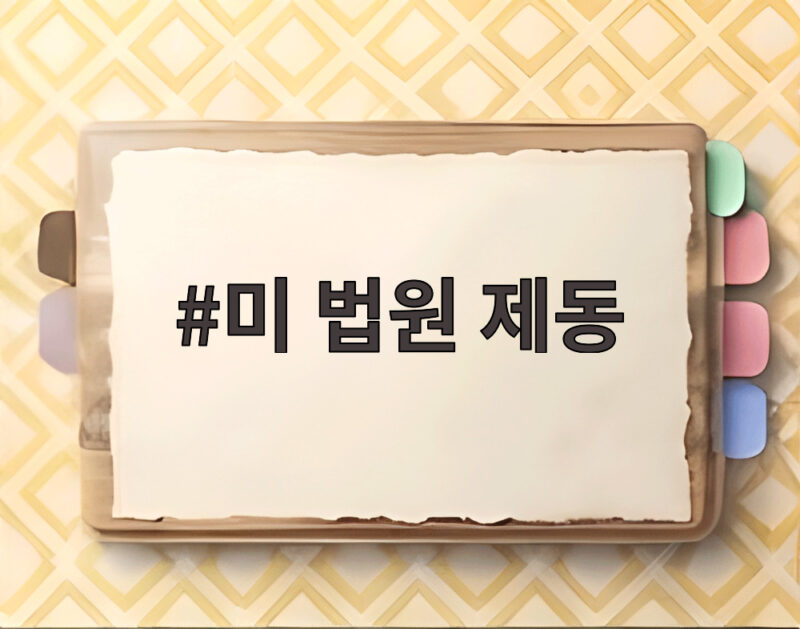 미 법원 제동 유학생 체류 4년 제한 시행 중단 소식입니다 1 미 법원 제동