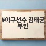 야구선수 김태균 부인