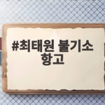 최태원 불기소 항고 실제 지출 20억과 1000억 차이는 왜 최태원 불기소 항고