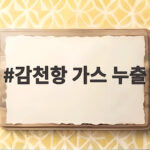 부산 감천항 가스 누출 사고 프레온가스 위험과 안전수칙 감천항 가스 누출