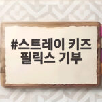 스트레이 키즈 필릭스 기부 소식 생일 맞아 3억 원 나눔 스트레이 키즈 필릭스 기부