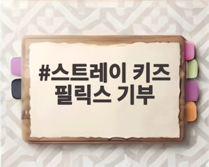 스트레이 키즈 필릭스 기부