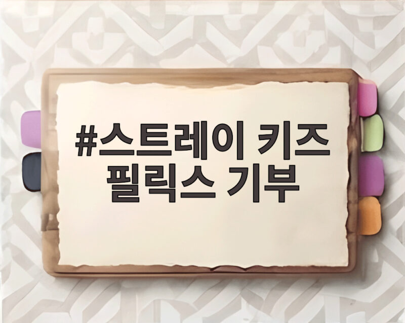 스트레이 키즈 필릭스 기부 소식 생일 맞아 3억 원 나눔 1 스트레이 키즈 필릭스 기부