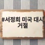 서정희 미국 대시 거절 20대 남성 대시에 콧대 높게 거절한 이유 서정희 미국 대시 거절