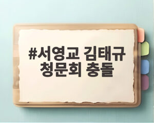 서영교 김태규 청문회 충돌