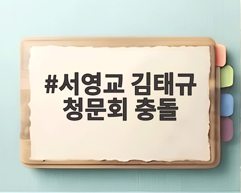 서영교 김태규 청문회 충돌, 악마 발언까지 오간 생생 현장 1 서영교 김태규 청문회 충돌