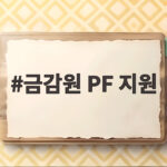 금감원 PF 지원